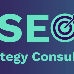 SEO Strategy Consultation - 1 Month